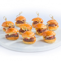 Packman burg fre x16